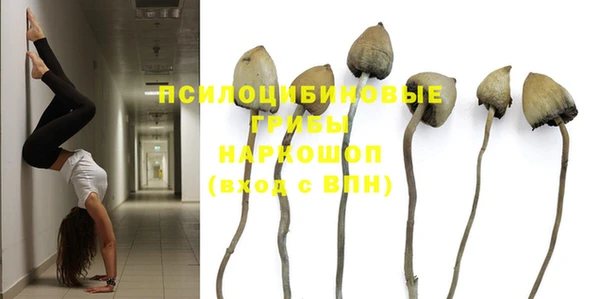 круглые Краснослободск