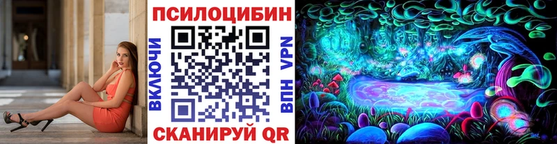 Псилоцибиновые грибы прущие грибы  Купить  Кашин 